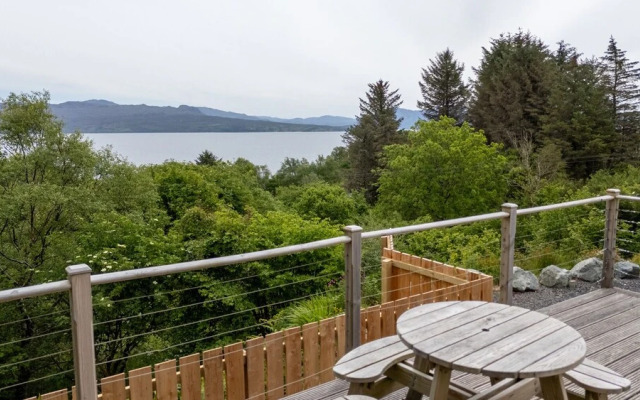 The Lookout