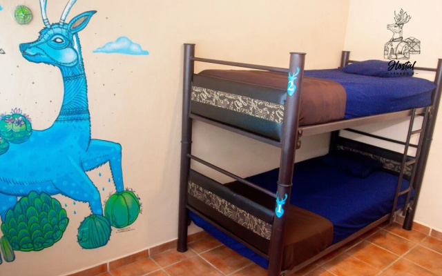 Venado 8 - Hotel in Канкун - Photo 2