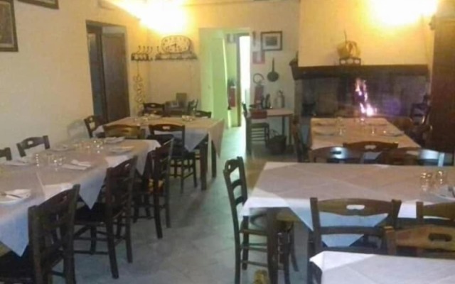 Le Chianine dei Tognoli