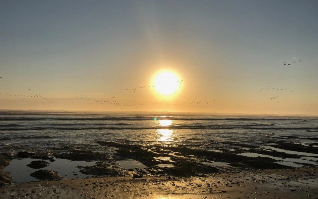 Quaint Seaside Cottage