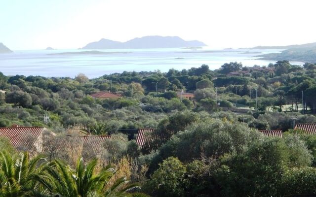 AffittaSardegna - Trilo Bellavista 1