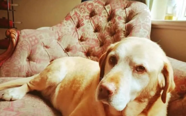 Setcops Farm Holiday Cottages