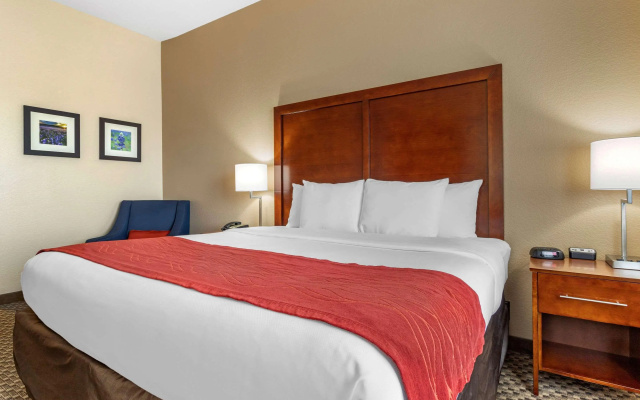 Comfort Inn & Suites Navasota