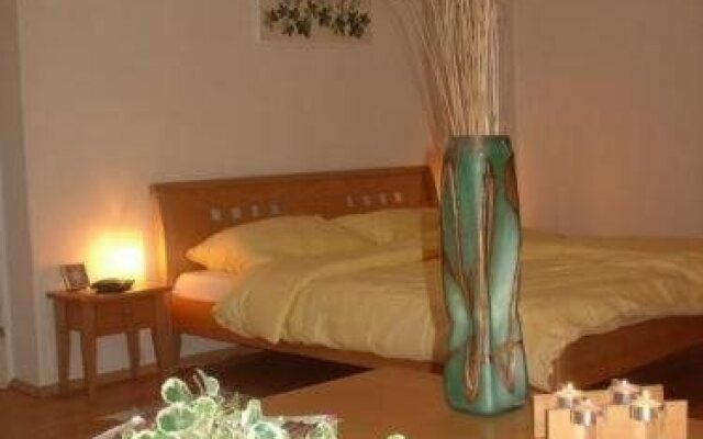 Small Chateau Hotel Kaplice