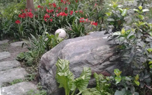 Taitung Linyuan B&B