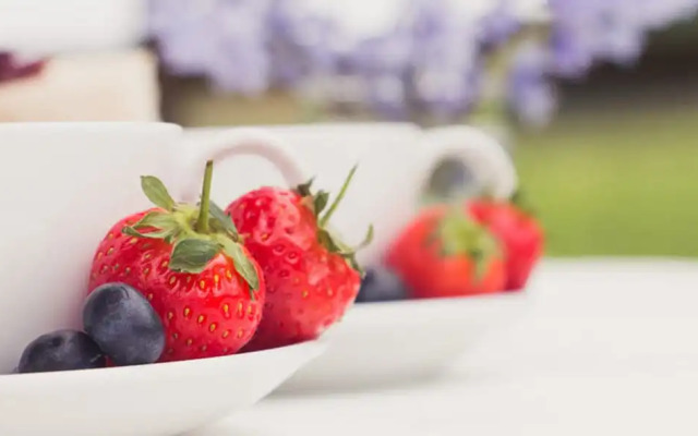 Windy Harbour Farm Bed & Breakfast