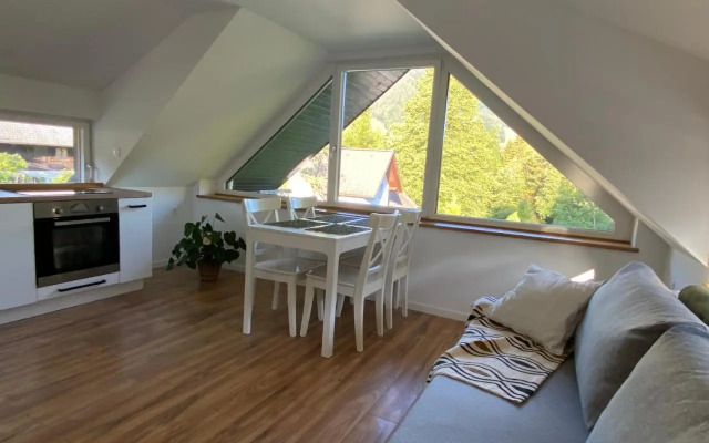 Apartment Židana marela - Attic with a View