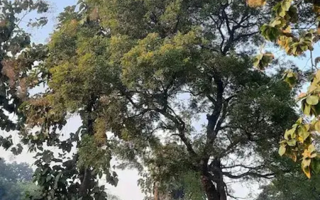 Praveg Tent City Ayodhya Brahmakund