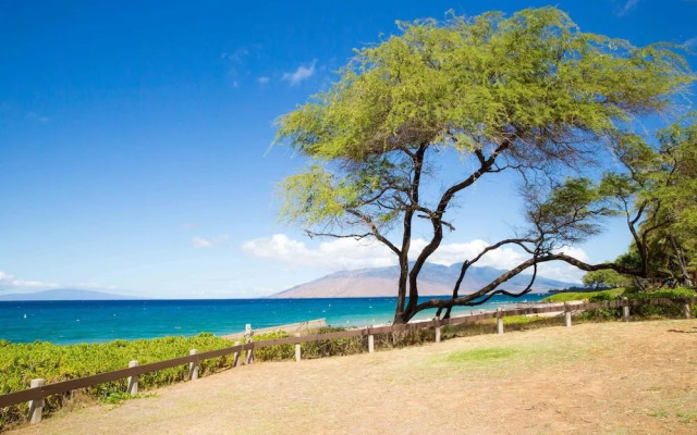 Hale Kamaole #107 - 1 Br Condo