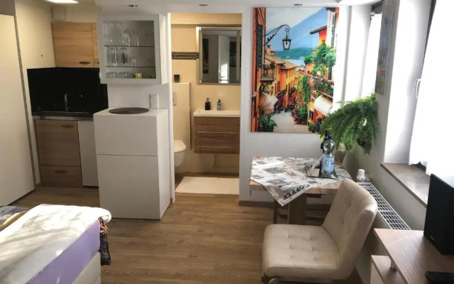 Ferienwohnung Apartment Dettum mit eigenem Bad, Kochnische und Wintergarten
