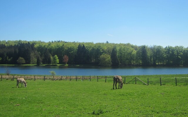 Comfortable Holiday Home in Somme-leuze With Garden