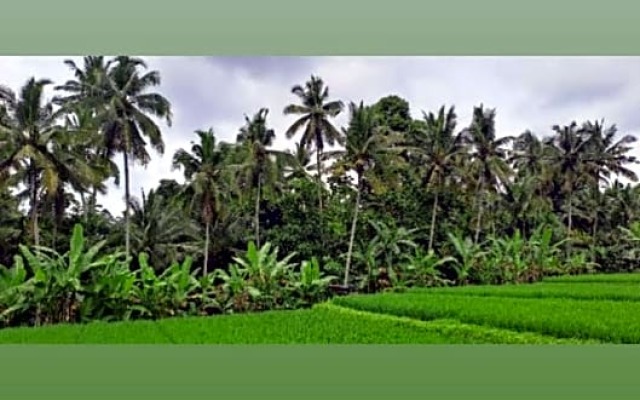 Galang Hari Villa