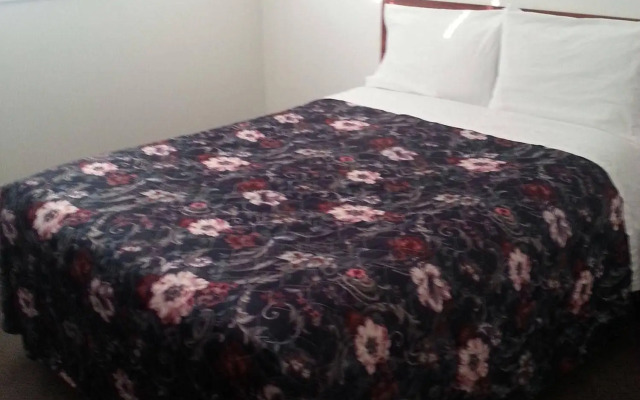 Shamrock hotel