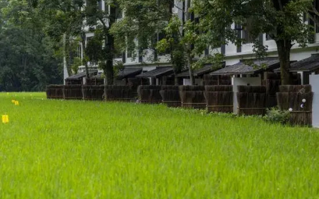 Mingshi Nali Hotel