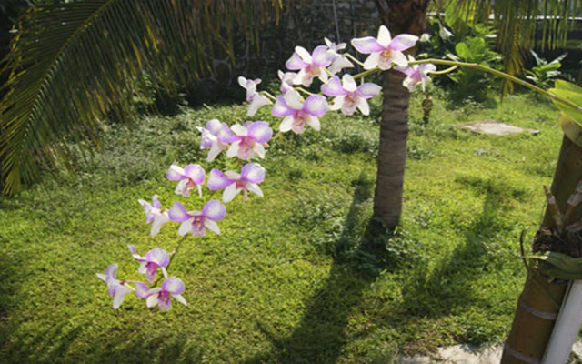 Xishuangbanna Hotel Managed by Xandria Hotel