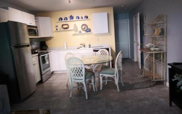 The Three Sisters - Crystal River FL