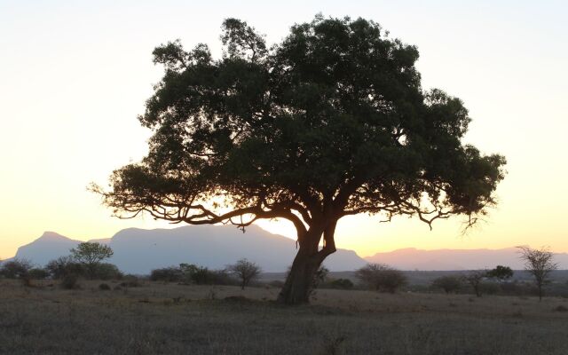 Thornhill Safari Lodge