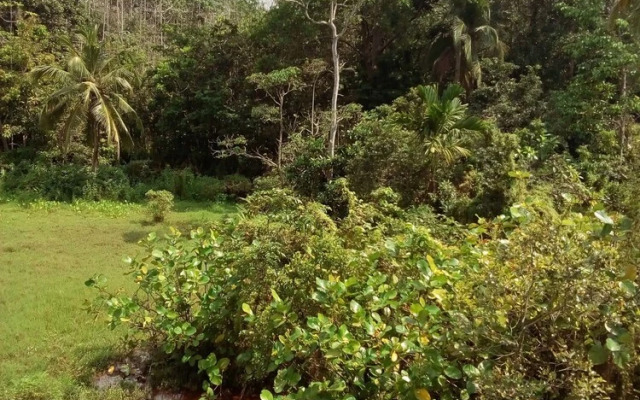 Nexus villa