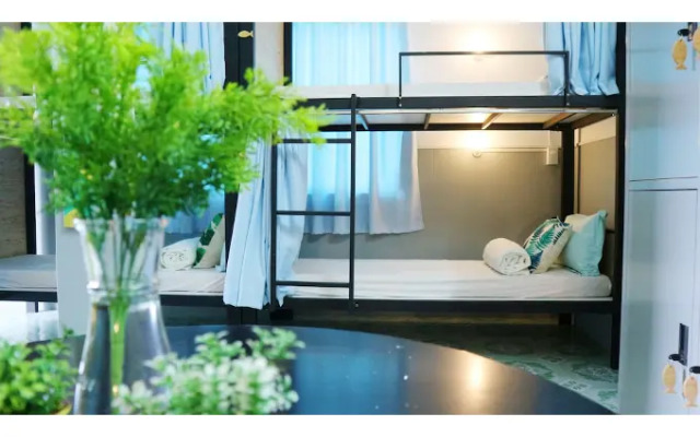Tigonhouse Hostel