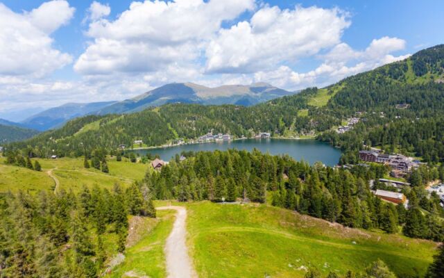 ATH Alpenpark Turrach, Zirbenwald III_16