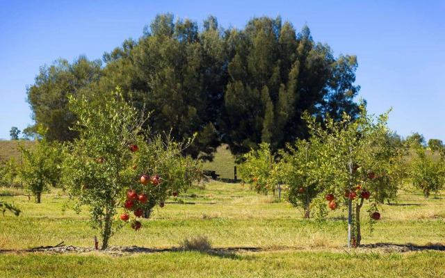 Talga Estate