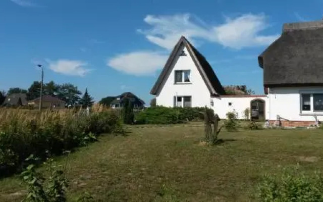 Hagebutte - [#58933]