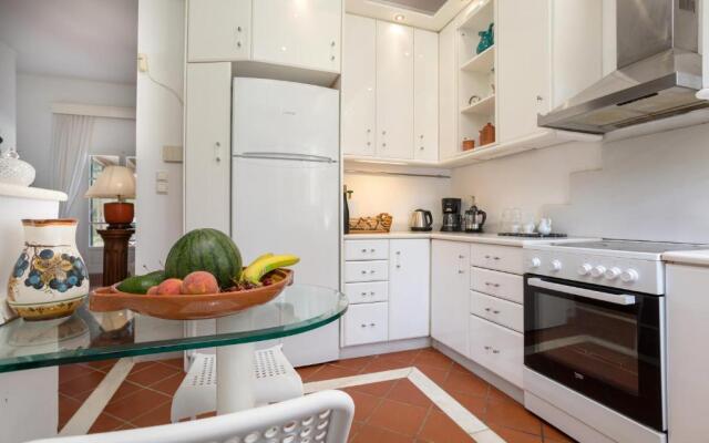 Ionian homm Palm Villa w/ Pool 15ppl in Zante