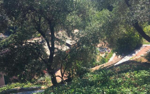Villa Olivari - apt il Cedro