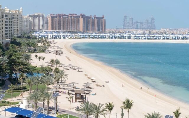 Beautiful Sea View Palm