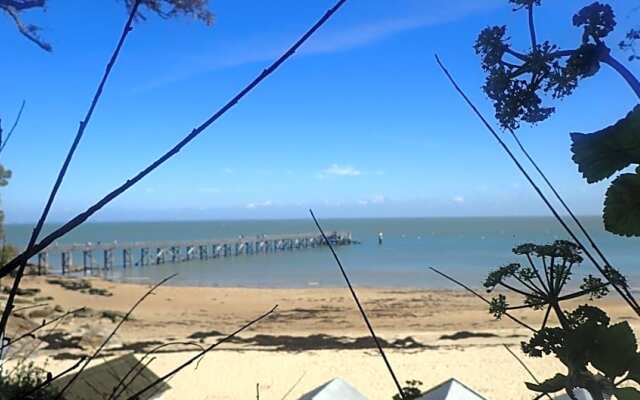 Chambre dans la pin¿