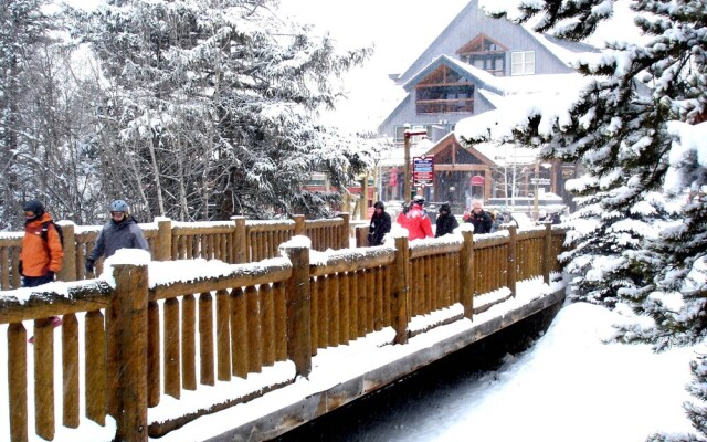 Lone Eagle 3000 by SummitCove Vacation Lodging