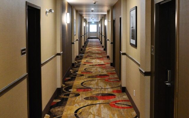 Best Western Plus Kindersley Hotel