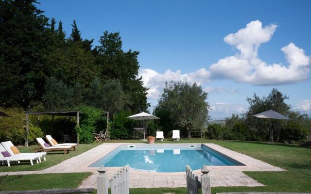 Archipettoli