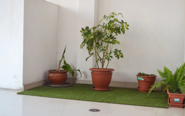 Rosenverg House Lima Airport
