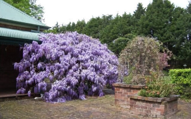 Heronswood House B & B