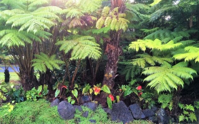 Hale OnaOna by Hawaii Volcano Vacations