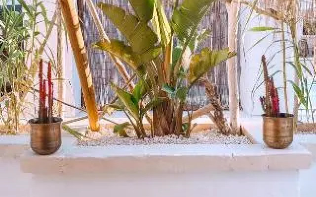 Playa Paraiso Beach Resort