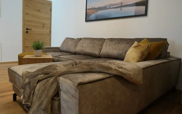 Modern Apartment 100 m From ski Area