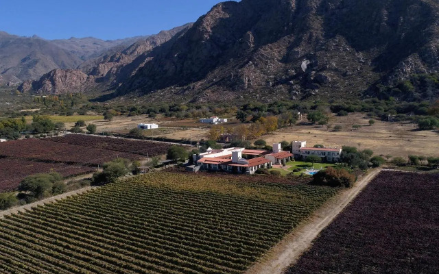 Viñas De Cafayate Wine Resort