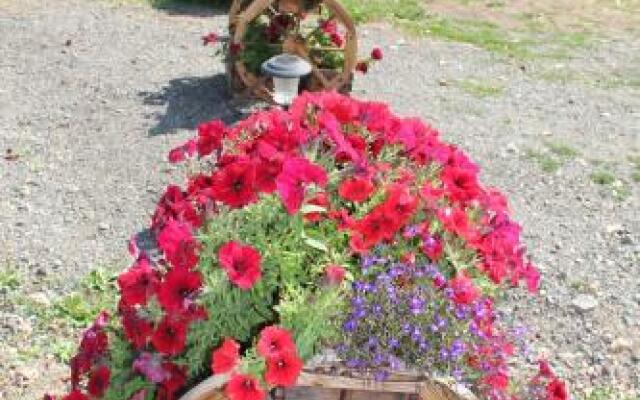 Sunny Bluffs Chalets