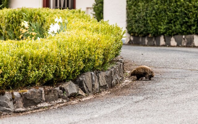 The Lodge at Tarraleah - Adults Only