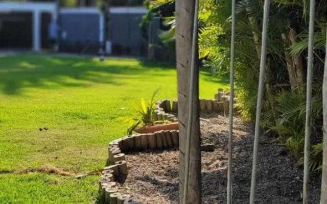 ReCanto dos Passáros