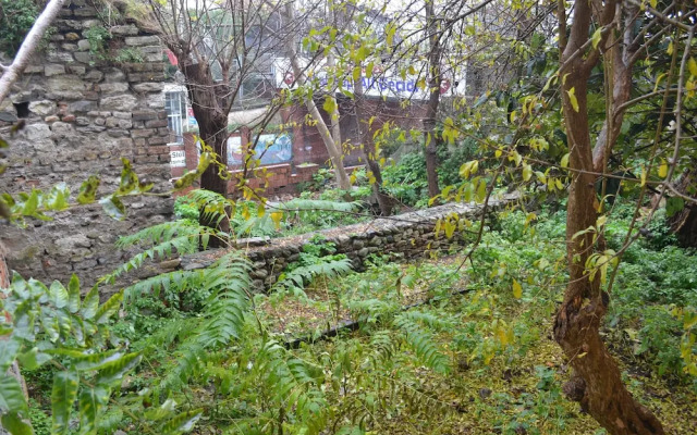 Boutique California Hotel