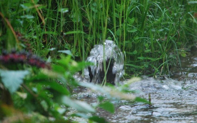 Agriturismo Cascina Selva