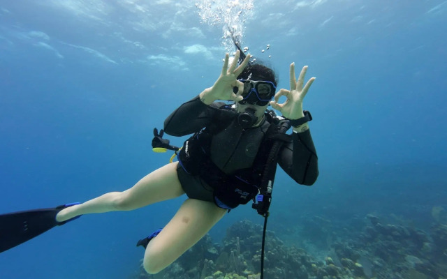 Hotel and Dive Center Roatan Yacht Club