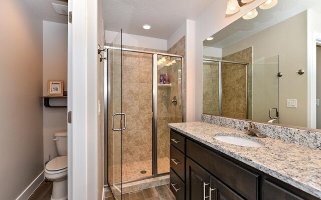 The View At The Escapes