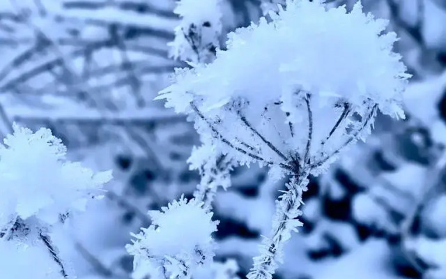 Комнаты в коттедже - фото 4