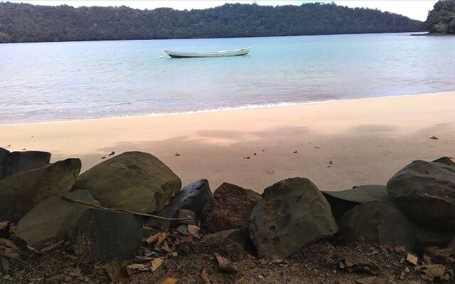 MIP Wild Camping