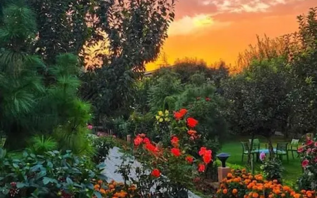 The Orchard Retreat & Spa, Srinagar