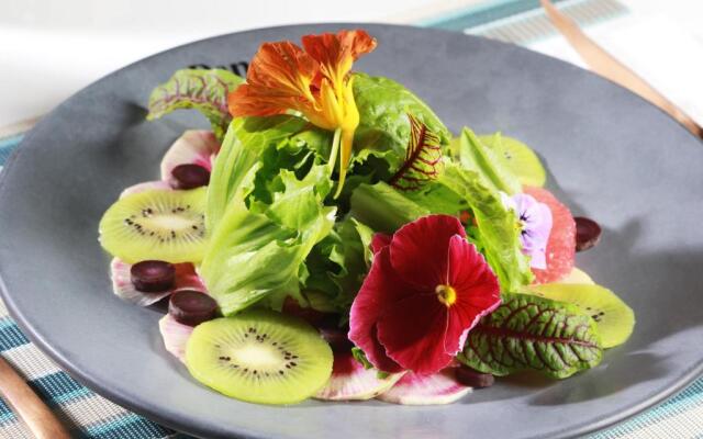 Hotel Indigo Guanajuato by IHG